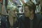 laurent-melanie-mcgregor-ewan-jpg