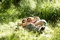 lola-creton-sebastian-urzendowsky-jpg