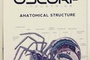 the-amazing-spider-man-jpeg