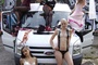 photo-3-du-film-too-much-pussy-jpg