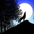 photo-6-du-film-les-contes-de-la-nuit-jpg