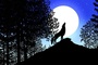 photo-6-du-film-les-contes-de-la-nuit-jpg