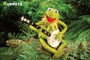 kermitt-jpg
