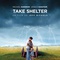Affiche du film Take Shelter  - Take Shelter 