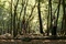 photo-du-film-all-good-children-jpg