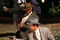 film-gangster-squad-jpg