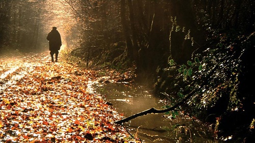 photo-3-du-film-le-sens-de-l-age-jpg
