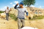 Affiche du film Le cochon de Gaza  