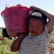 un-enfant-qui-porte-des-pommes-jpg