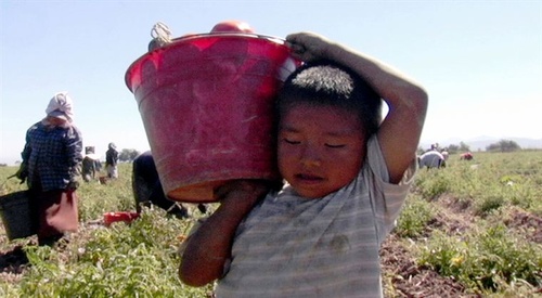 un-enfant-qui-porte-des-pommes-jpg