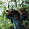 un-enfant-qui-porte-du-bois-jpg - Los Herederos - Les Enfants Héritiers  