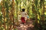 un-petit-enfant-jpg