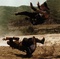 combat-jpg - True Legend 