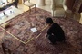 jafar-panahi-jpg