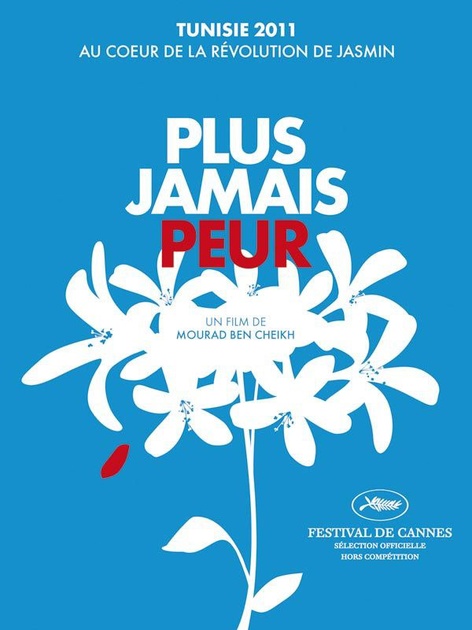 Affiche du film Plus Jamais Peur 