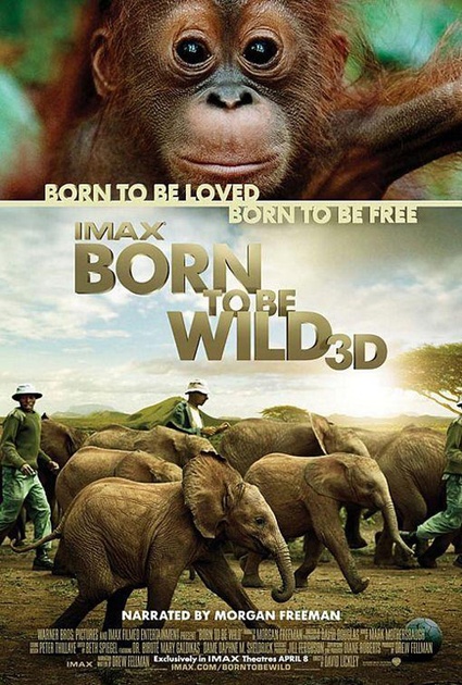 Affiche du film Born to be Wild 3D 
