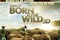Affiche du film Born to be Wild 3D 