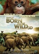 Affiche du film Born to be Wild 3D 