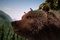 les-enfans-sur-l-ours-jpg