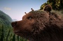 les-enfans-sur-l-ours-jpg