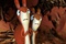 deux-lapins-jpg