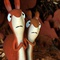 deux-lapins-jpg - Le Gruffalo 