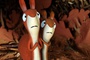 deux-lapins-jpg