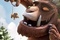 le-gruffalo-et-la-souris-jpg