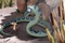 une-souris-et-un-serpent-jpg