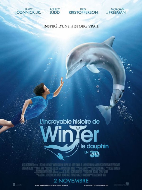 Affiche du film L'incroyable histoire de Winter le Dauphin 