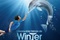 Affiche du film L'incroyable histoire de Winter le Dauphin 