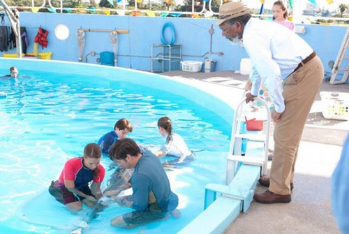 bassin-a-dauphin-jpg