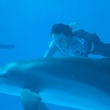 nathan-gamble-et-le-dauphin-jpg