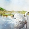 cygne-jpg - Le vilain petit canard (2011) 