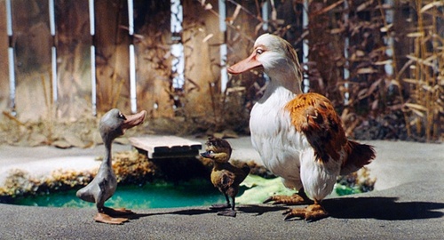 trois-canards-jpg