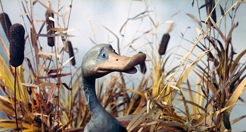 un-canard-jpg