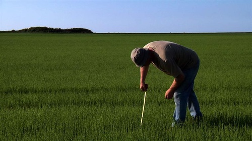 agriculteur-jpg