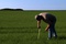 agriculteur-jpg