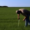 agriculteur-jpg - La pluie et le beau temps 