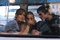 kelly reilly kevin bishop romain duris - Les poupées russes