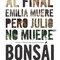affiche-espagnole-jpg - Bonsai 