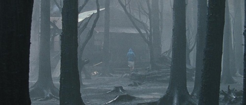 dans-la-foret-jpg