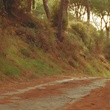 dans-la-foret-jpg
