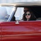 amanda-seyfried-dans-sa-voiture-rouge-jpg - Lovelace 