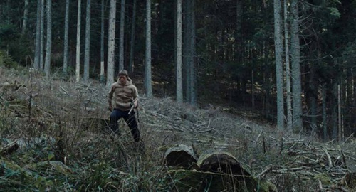 dans-la-foret-franck-falise-pour-la-fin-du-silence-jpg