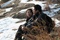 oki-s-movie-film-sud-coreen-jpg