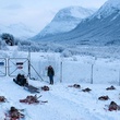 massacre-de-cerfs-dans-le-film-pere-noel-origines-jpg