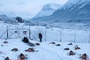 massacre-de-cerfs-dans-le-film-pere-noel-origines-jpg