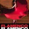 Affiche du film Flamenco, Flamenco  - Flamenco, Flamenco 