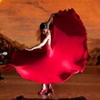 danseuse-de-flamenco-en-robe-traditionnelle-jpg